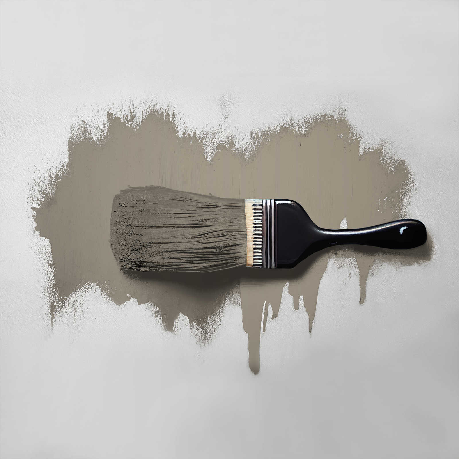             Pintura mural TCK1020 »Aesthetic Ajwain« en gris topo relajante – 5,0 litro
        