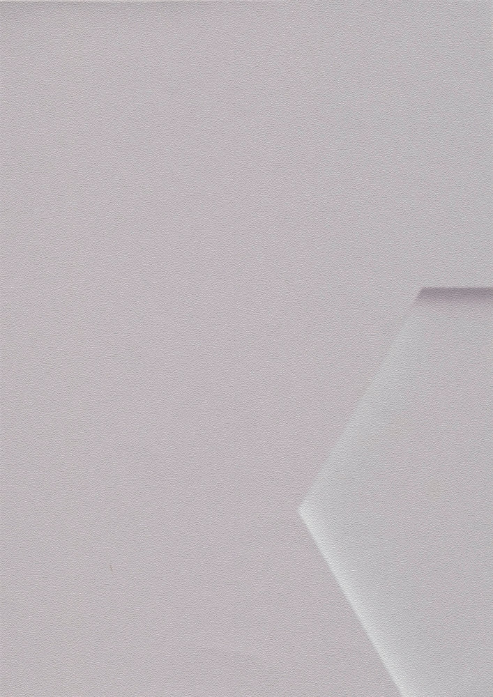             Papel pintado-Nuevo | Papel pintado con motivo 3D, blanco y gris
        
