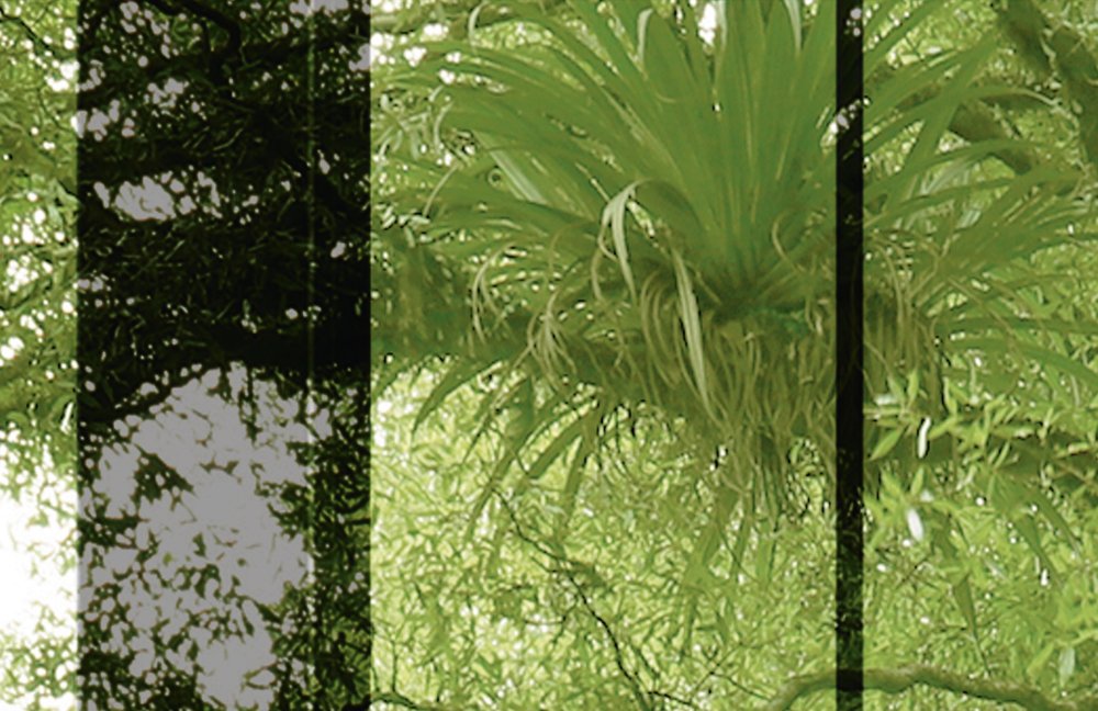             Rainforest 2 - Loft raamschildering met uitzicht op de jungle - Groen, Zwart | Pearl glad fleece
        