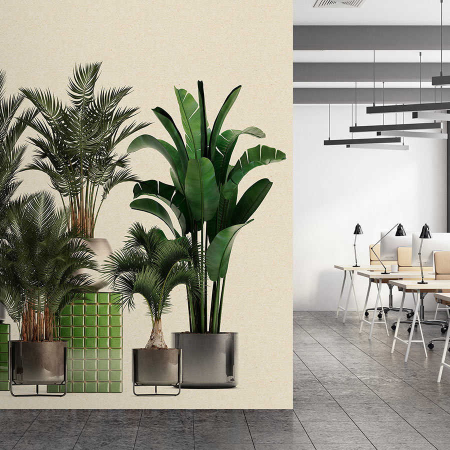 Tienda de plantas 1 - papel pintado fotográfico de la naturaleza plantas en maceta palmeras
