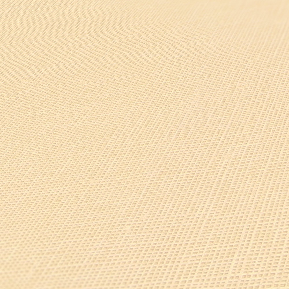             Carta da parati in tessuto non tessuto liscio con struttura in lino - beige
        