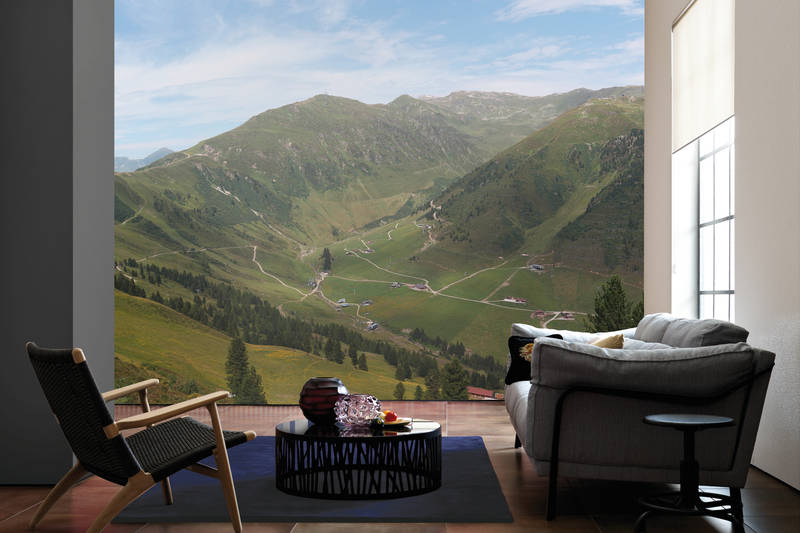             Fotomurali vista valle di prati verdi nelle Alpi
        