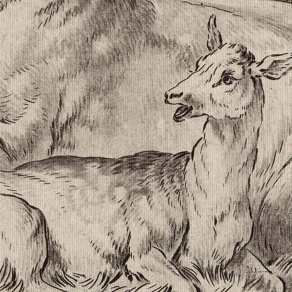             Sull'erba 1 - Carta da parati fotografica Disegno vintage di cervi e cerbiatti in beige
        