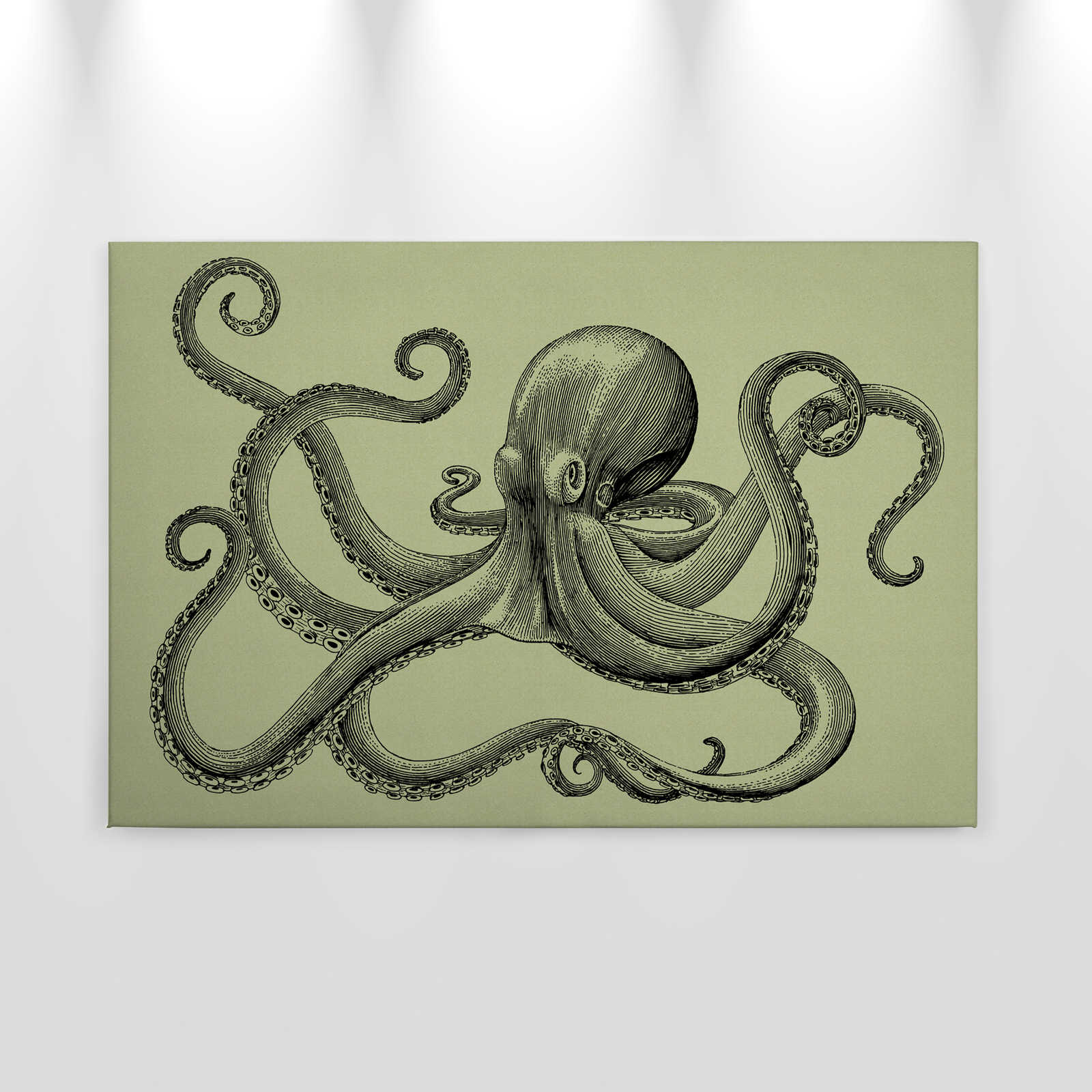             Jules 3 - Canvas schilderij Octopus in schetsstijl & vintage look - Kartonnen structuur - 0.90 m x 0.60 m
        