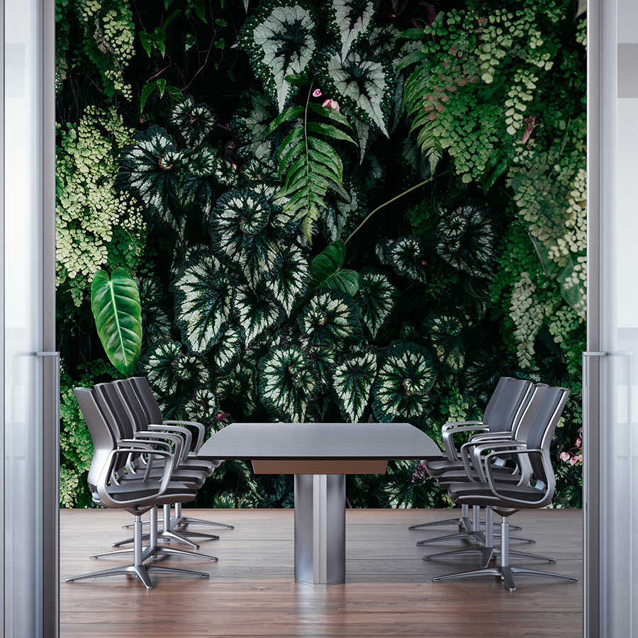         Deep Green 2 - wall mural leafy thicket, ferns & hanging plants
    