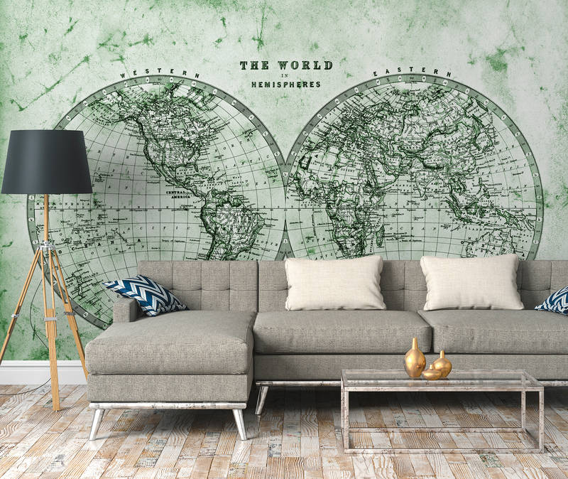            Vintage world map in hemispheres - green, grey, white
        