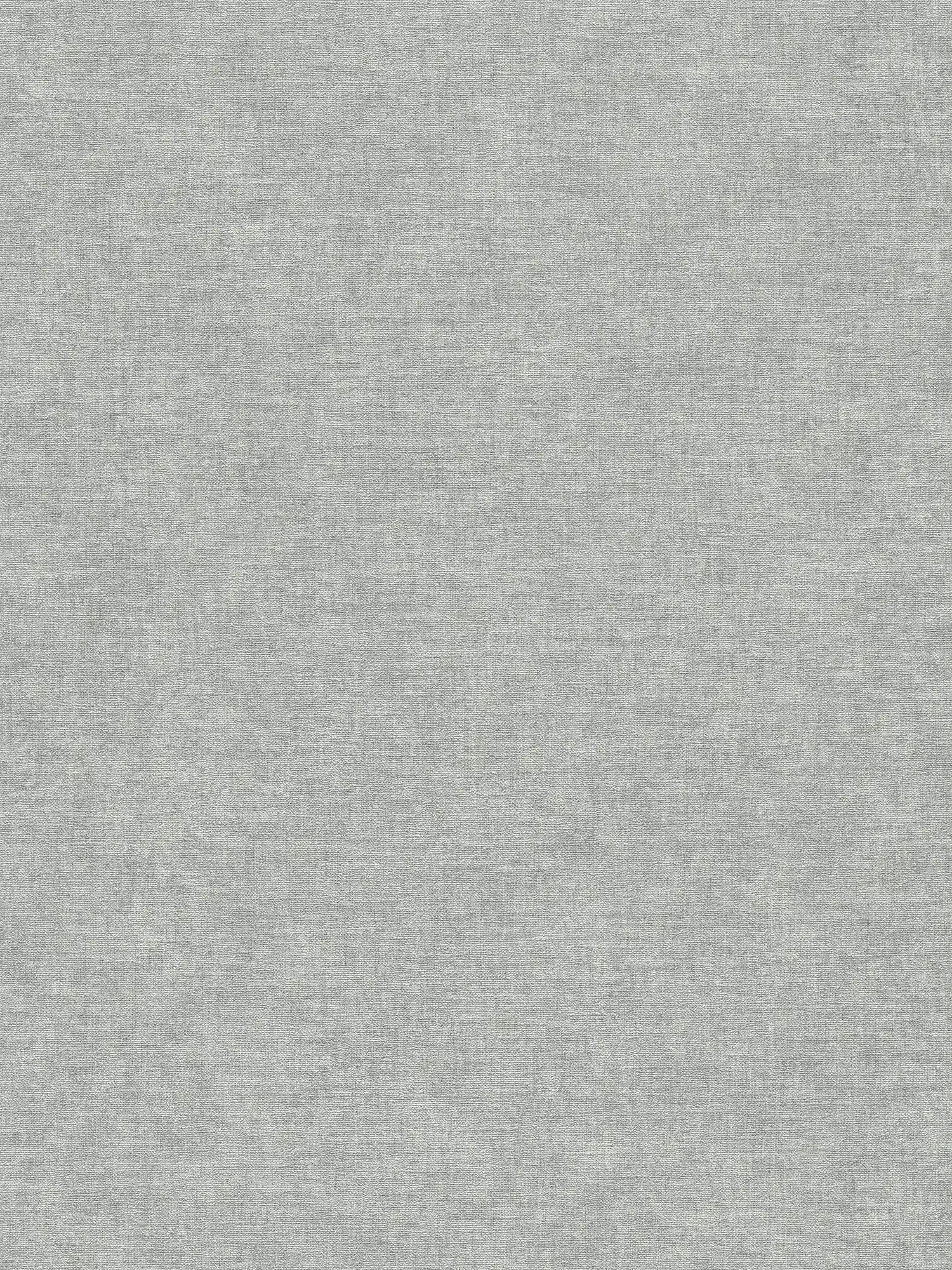 papier peint en papier intissé légèrement structuré, aspect crépi doux - gris, gris clair
