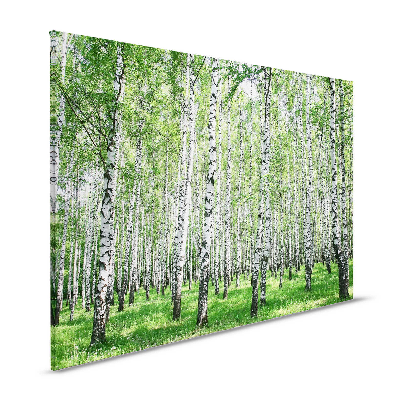 Quadro paesaggio su tela Bosco di betulle con prato - 1,20 m x 0,80 m

