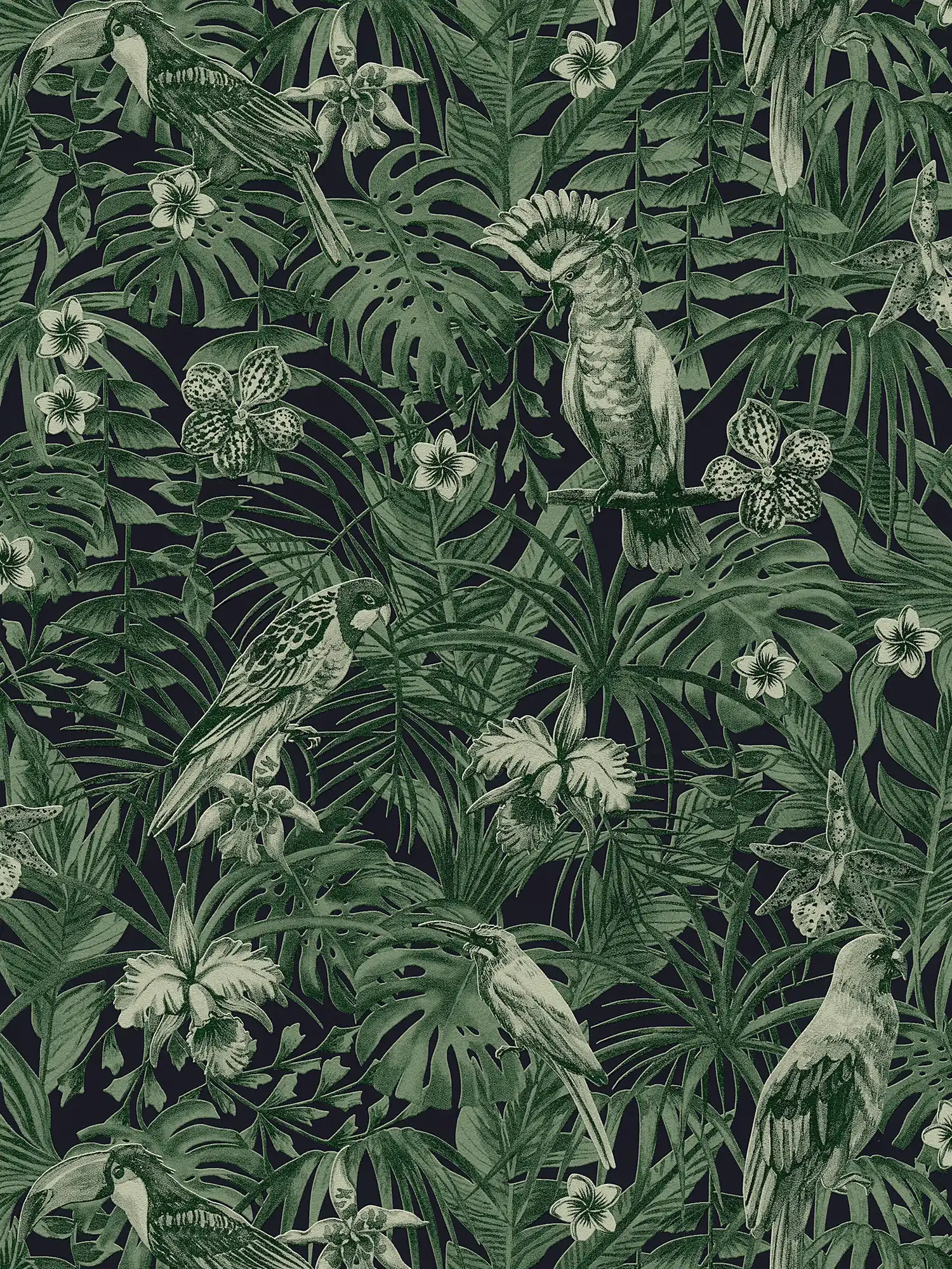 carta da parati uccelli tropicali e fiori esotici - verde, nero
