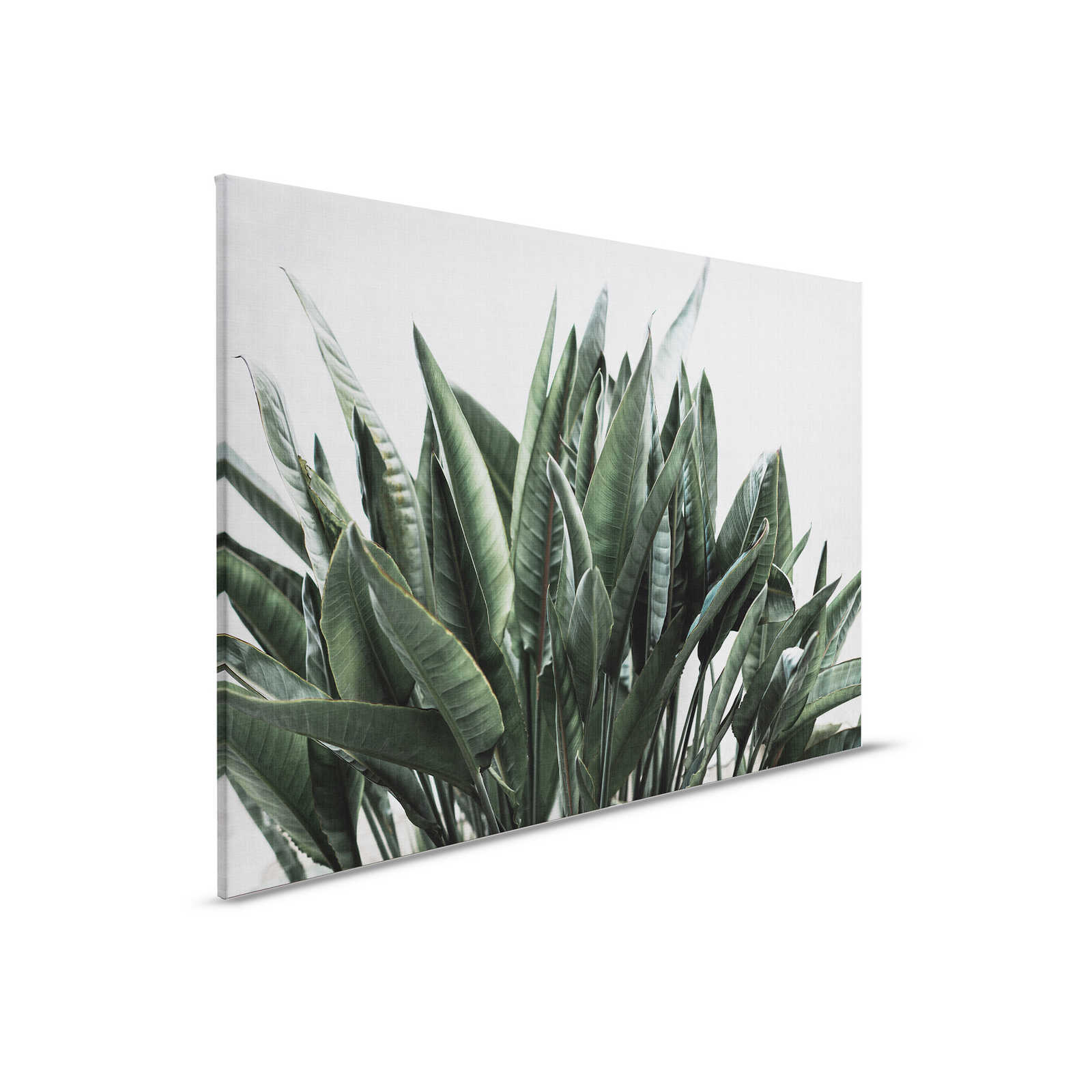 Urban jungle 2 - Palm leaves canvas picture, natural linen structure exotic plants - 0.90 m x 0.60 m
