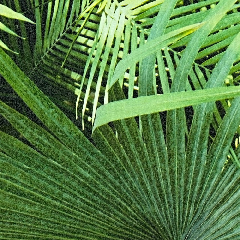             Leaves pattern in jungle look, fern optics - fern optics
        