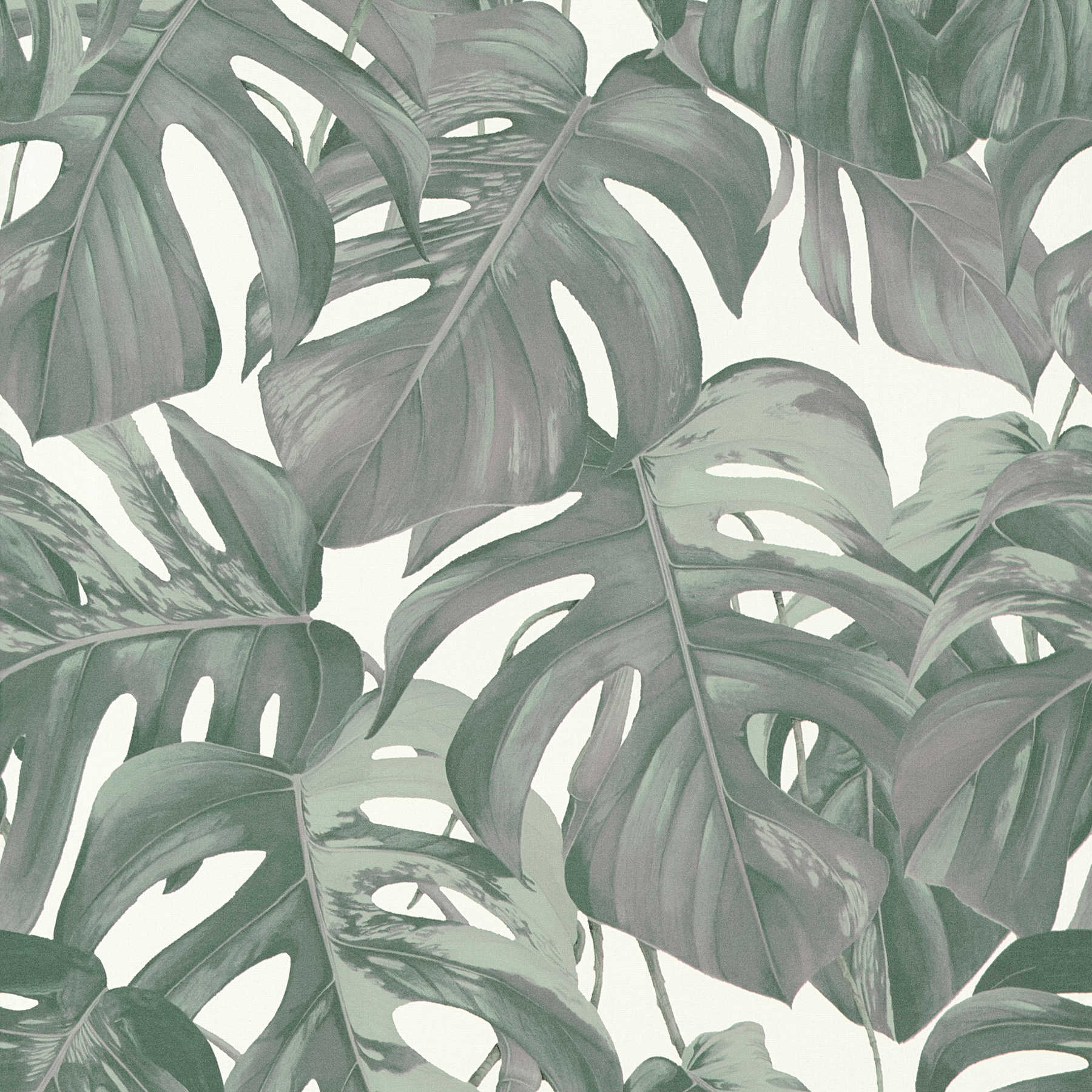 Leaves wallpaper tropical monstera pattern - green, white

