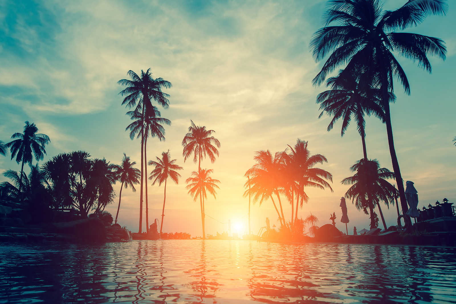             Toile avec palmiers au bord de l'eau au coucher du soleil - 0,90 m x 0,60 m
        