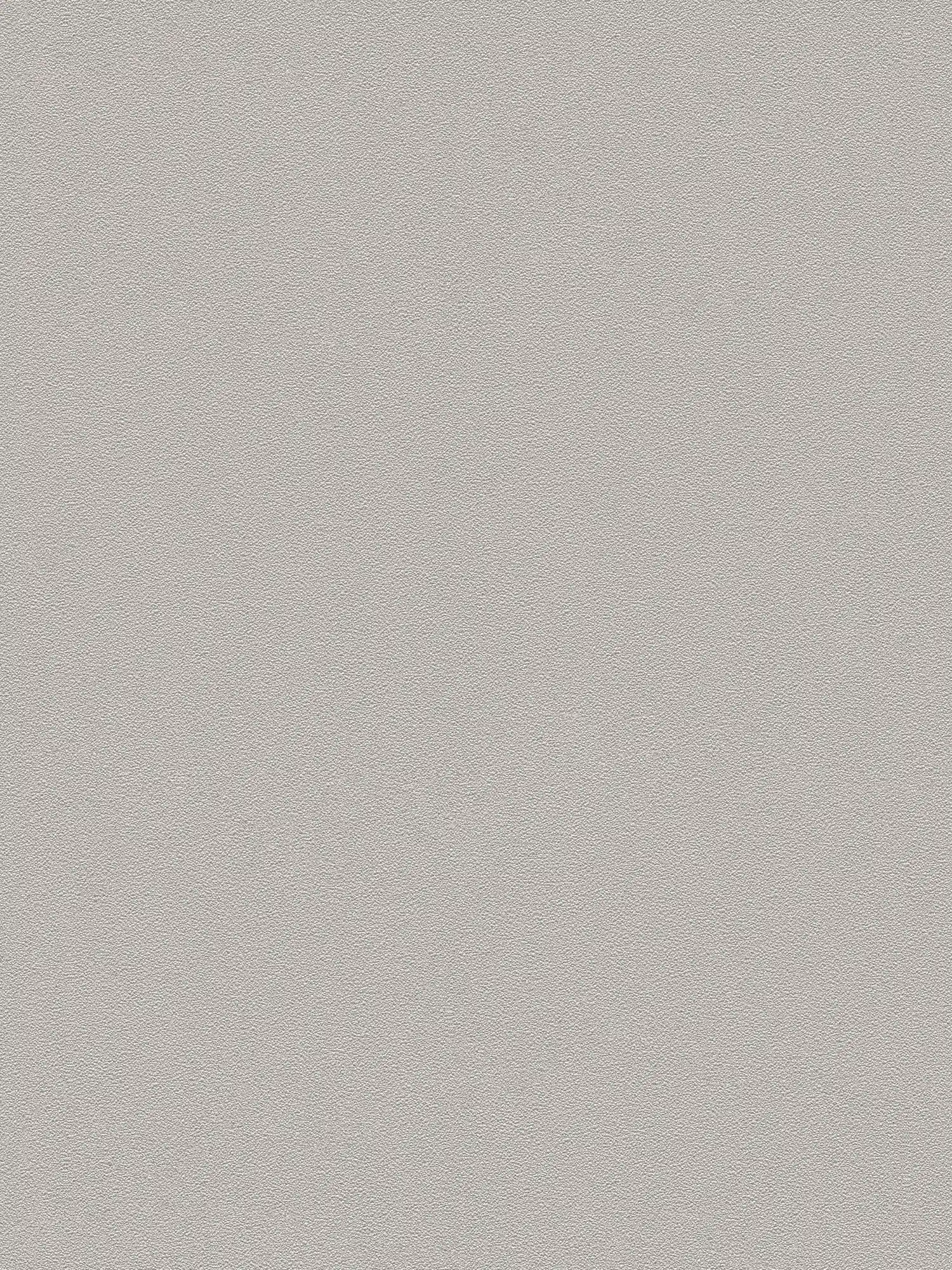 Plain wallpaper natural colour and texture pattern - grey, brown

