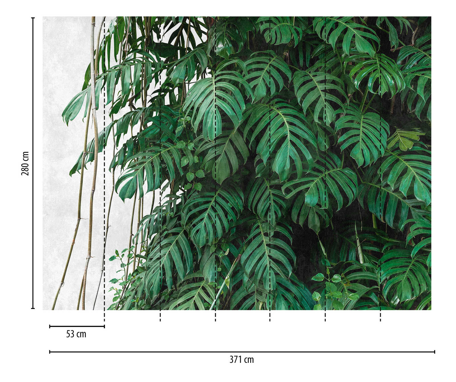             Wallpaper novelty | Monstera wallpaper 3D motif jungle green
        