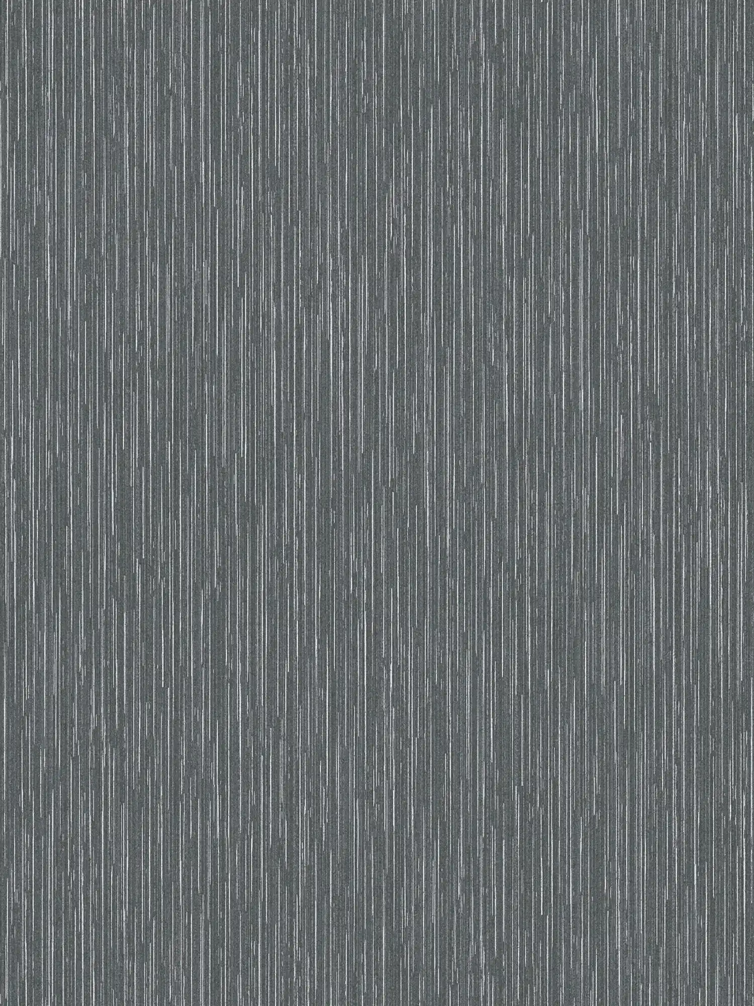 Anthracite wallpaper with silver accents & line design - black, metallic

