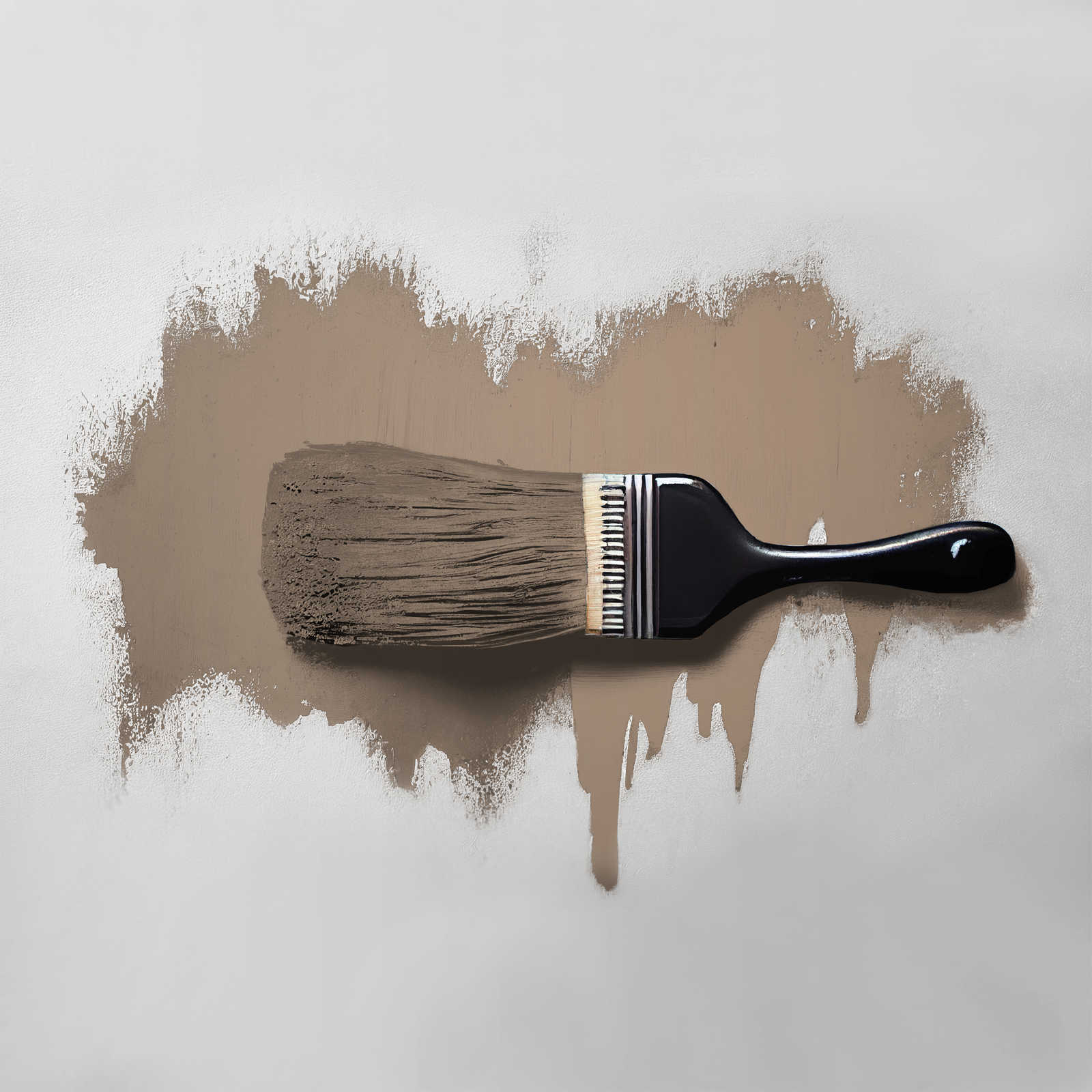             Wall Paint TCK6012 »Dynamic Date« in homely taupe – 2.5 litre
        