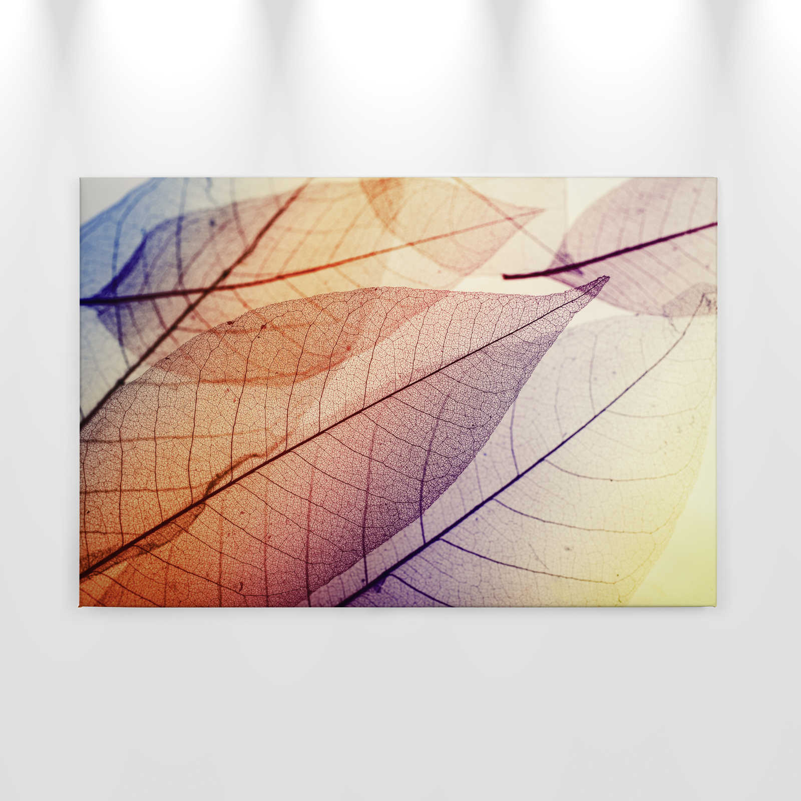             Canvas with leaf pattern X-ray - 0.90 m x 0.60 m
        