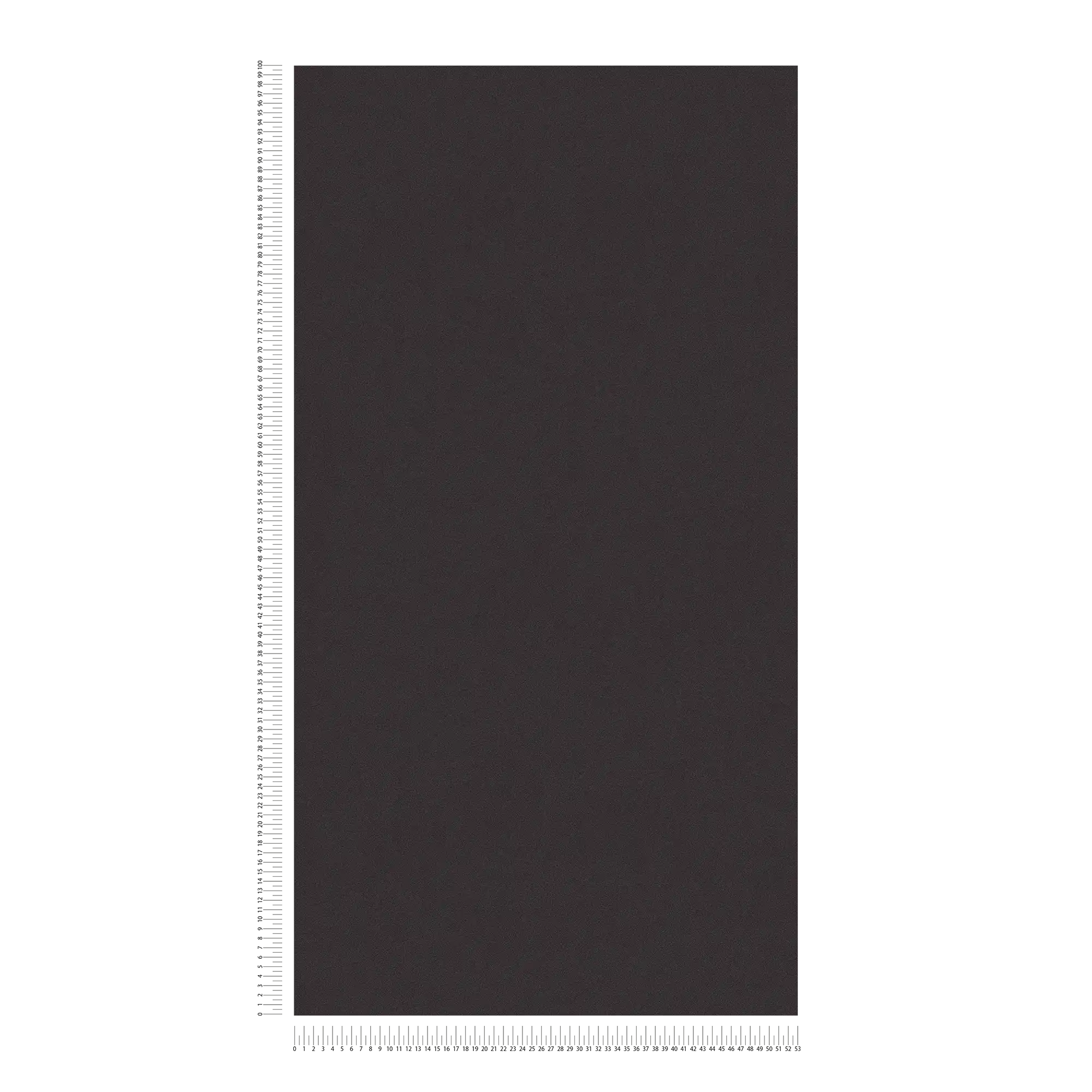             Papel pintado negro MICHALSKY con patrón de estructura forrada
        